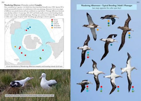 Oceanic Birds of the World, A Photo Guide - Howell, S. N. G. ym. 2019
